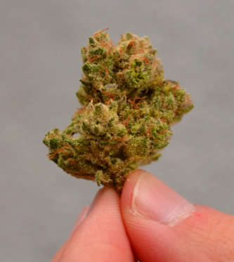 Premium Cannabis at Your Doorstep: Buy Weed Online Now post thumbnail image