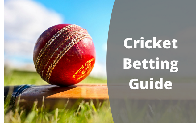 Cricket Unveiled: A Beginner’s Roadmap to Success post thumbnail image