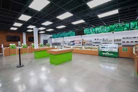High-Quality Cannabis Dispensaries in Thornton: Your Ultimate Resource post thumbnail image