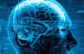 Why You Need Brain Training To Optimize Your Life: Evoke Neuroscience post thumbnail image