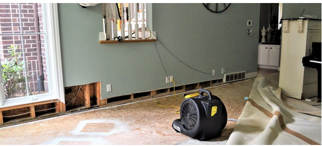 Water Damage Cleanup Tips: Minimizing Damage Before the Pros Arrive post thumbnail image