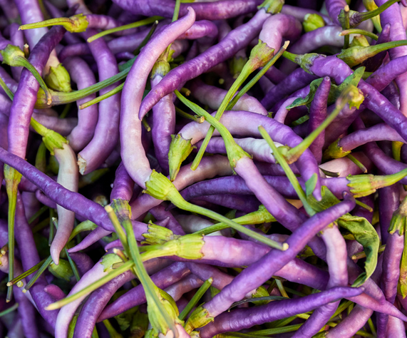 Cayenne Pepper Varieties: Discovering the Vibrant Purple Option post thumbnail image