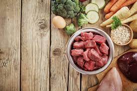 Healthier Hounds: The Impact of a Raw Meat Diet for Dogs post thumbnail image