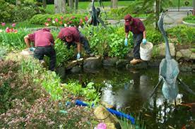 Reflections of Beauty: Top-tier Garden Pond Cleaning Services post thumbnail image