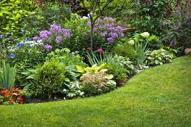 Bergen County’s Serene Landscaping Solutions post thumbnail image