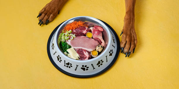 Healthy Eating for Canines: The Advantages of Raw Dog Food post thumbnail image
