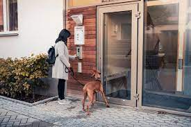 Paws and Play: Tail-Wagging Dog-Friendly Apartments post thumbnail image