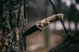 Functional Beauty: Hunting Knives for Collectors post thumbnail image